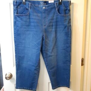 Time and Tru Woman's Capri  Blue Jeans Size 20